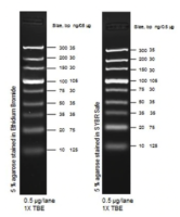 Маркер длин ДНК TrackIt Ultra Low Range, 9 фрагментов от 10 до 300 п.н; готовый к применению; 0,5 мкг/мкл, Thermo FS