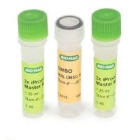Мастер-микс для ПЦР iProof HF, с высокоточной ДНК-полимеразой iProof, Bio-Rad