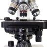 Микроскоп Discovery Atto Polar с книгой