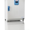 Термостат 66 л, до +105 °С, принудительная вентиляция, IMH60 Advanced Protocol, Thermo FS