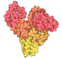 Альбумин бычий сывороточный (БСА), не менее 98 %, лиофилизированный, Sigma-Aldrich, Merck (Millipore, Sigma-Aldrich, Supelco)