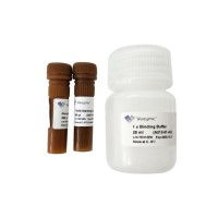 Набор для определения апоптоза Annexin V-PE/7-AAD Apoptosis Detection Kit A213, Vazyme, Китай