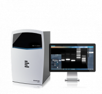 Гельдокументирующая система QUANTUM-CX5 Edge - Epi UV PadBox, 5 Мп, моторизованный зум, верхний УФ 254/365 нм, без Pad-трансиллюминатора, фильтр 590 нм, Vilber