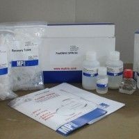 Набор для выделения ДНК FastDNA-96 Tissue&Insect DNA kit, 2 х 96 выделений, MP Biomedicals
