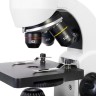 Микроскоп Levenhuk Rainbow D50L PLUS, 2 Мпикс, Moonstone\Лунный камень