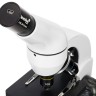 Микроскоп Levenhuk Rainbow D50L PLUS, 2 Мпикс, Moonstone\Лунный камень
