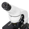 Микроскоп Levenhuk Rainbow D50L PLUS, 2 Мпикс, Moonstone\Лунный камень