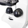 Микроскоп Levenhuk Rainbow D50L PLUS, 2 Мпикс, Moonstone\Лунный камень