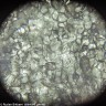 Микроскоп Levenhuk Rainbow D50L PLUS, 2 Мпикс, Moonstone\Лунный камень
