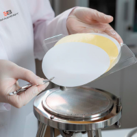 Мембрана Владисарт ФМПЭТ-0,40 - Д 100 мм / 0,40 мкм / 50 шт. в упаковке