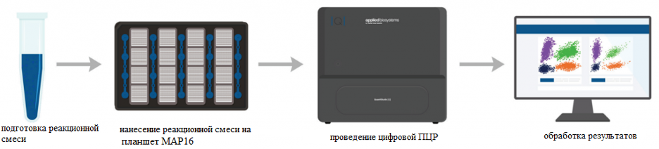 Система QuantStudio Absolute Q для мультиплексной цифровой ПЦР автоматическая, 4 канала, Thermo FS