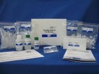 Набор для выделения ДНК из дрожжей FastRNA Spin kit, 50 выделений, MP Biomedicals