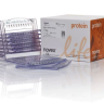 Гель полиакриламидный Bolt Bis-Tris Mini Protein Gel, 8 х 8 см, 10 лунок, 8 %, Thermo FS