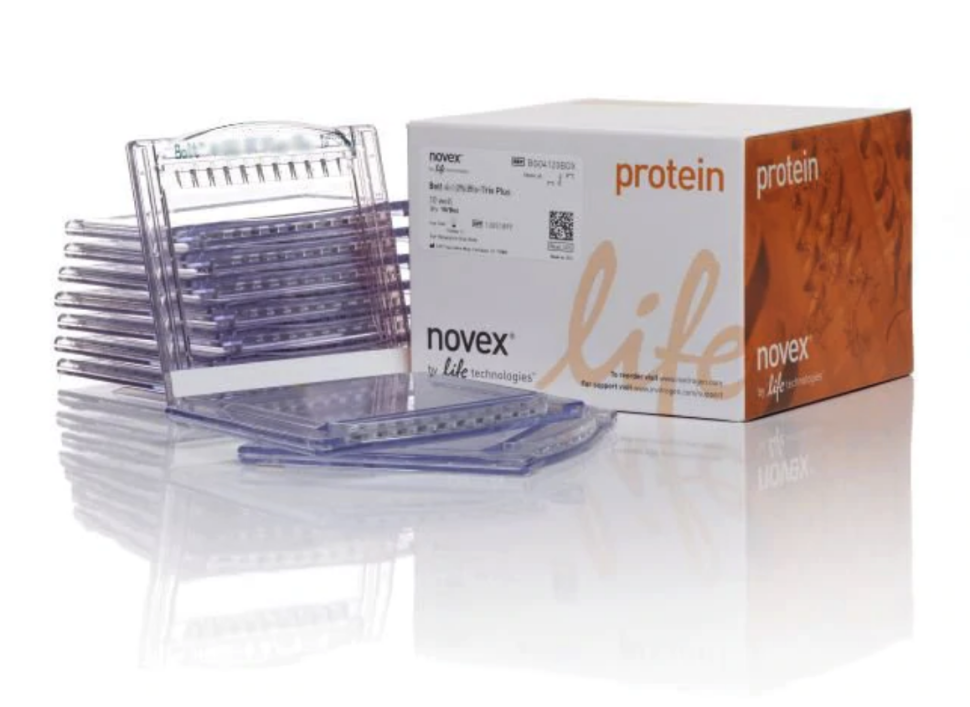 Гель полиакриламидный Bolt Bis-Tris Mini Protein Gel, 8 х 8 см, 10 лунок, 8 %, Thermo FS