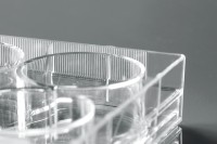 Планшеты культуральные 12-лун, плоскодонные, поверхность ТС, стерильные, апирогенные, без ДНКаз и РНКаз, Nest, Китай (аналоги арт. 07-6012, Biologix, Китай; арт. 3512, 3512уп, Corning)