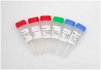 Набор для подготовки NGS библиотек VAHTS Universal DNA Library Prep Kit for Ion Torrent V2, Vazyme, Китай