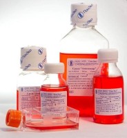 Среда для культивирования клеток амниотической жидкости и клеточных элементов хориона, Амниокар, Россия (аналог Gibco PB-MAX (1x), арт. 12557013, Thermo FS)