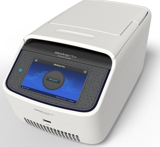 ДНК-амплификатор MiniAmp Plus, реакционный блок 96×0,2 мл, Thermo FS