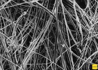 Префильтр, APFF, d мембраны 142 мм, 50 шт., Merck (Millipore)