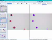 Спермоанализатор на базе ПО для компьютерного анализа эякулята, Аргус-CASA, АргусСофт
