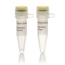 Эндонуклеаза рестрикции Alw44l, 10 е.а./мкл, Fermentas, Thermo FS