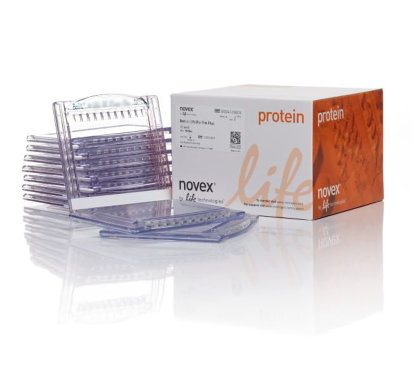 Гель полиакриламидный Bolt Bis-Tris Mini Protein Gel, 8 х 8 см, 12 лунок, 4 - 12%, Thermo FS