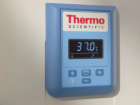 Термостат 747 л, до +75 °С, естественная вентиляция, IGS750, Heratherm General Protocol, Thermo FS