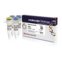 Эндонуклеаза рестрикции ApaI, 10 е.а./мкл, Fermentas, Thermo FS