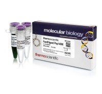 Эндонуклеаза рестрикции Psp1406I Fast Digest для ускоренного гидролиза ДНК, Fermentas, Thermo FS