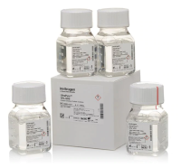 Натрий додецилсульфат (SDS), UltraPure, раствор 10%, Thermo FS