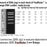 Маркер длин ДНК, FastRuler Low Range, 5 фрагментов от 50 до 1500 п.н., готовый к применению, Thermo FS