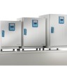 Термостат 75 л, до +75 °С, естественная вентиляция, IGS60 General Protocol, Thermo FS