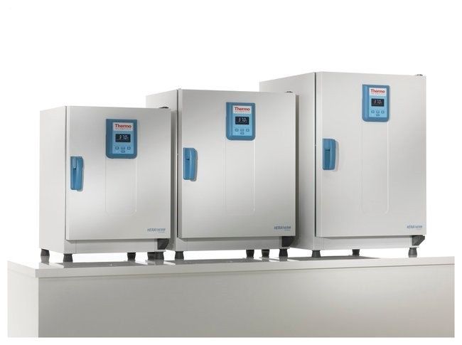 Термостат 75 л, до +75 °С, естественная вентиляция, IGS60 General Protocol, Thermo FS