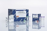 Набор FastLane Cell Multiplex Kit 200, Qiagen